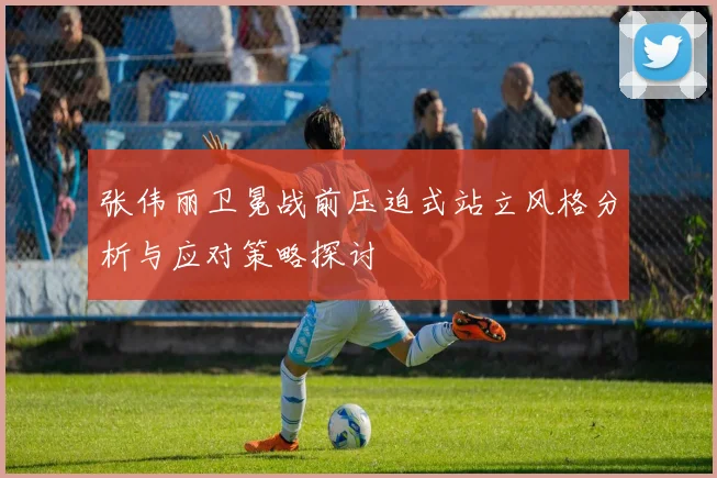 张伟丽卫冕战前压迫式站立风格分析与应对策略探讨