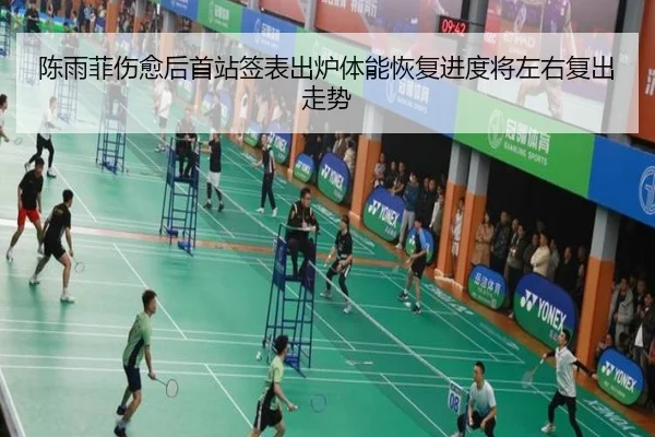 陈雨菲伤愈后首站签表出炉体能恢复进度将左右复出走势
